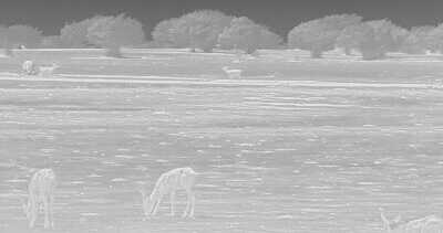 Review: Burris Thermal Imagers Review: Burris Thermal Imagers