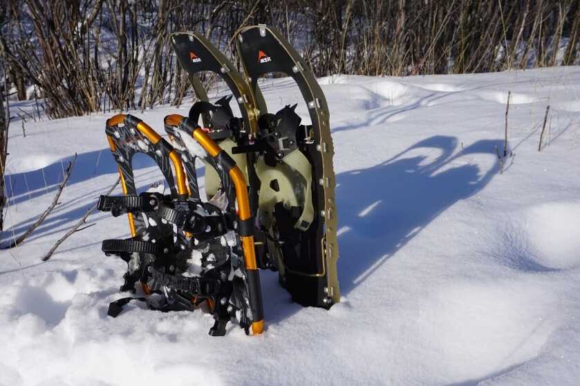 Last Frontier Bison: Hunting Alaska's Largest Land Mammal Last Frontier Bison: Hunting Alaska's Largest Land Mammal