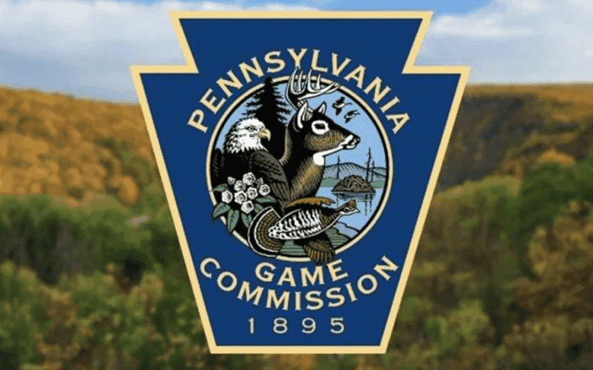 Sunday Hunting Means Huge Deer Harvest in Pennsylvania Sunday Hunting Means Huge Deer Harvest in Pennsylvania