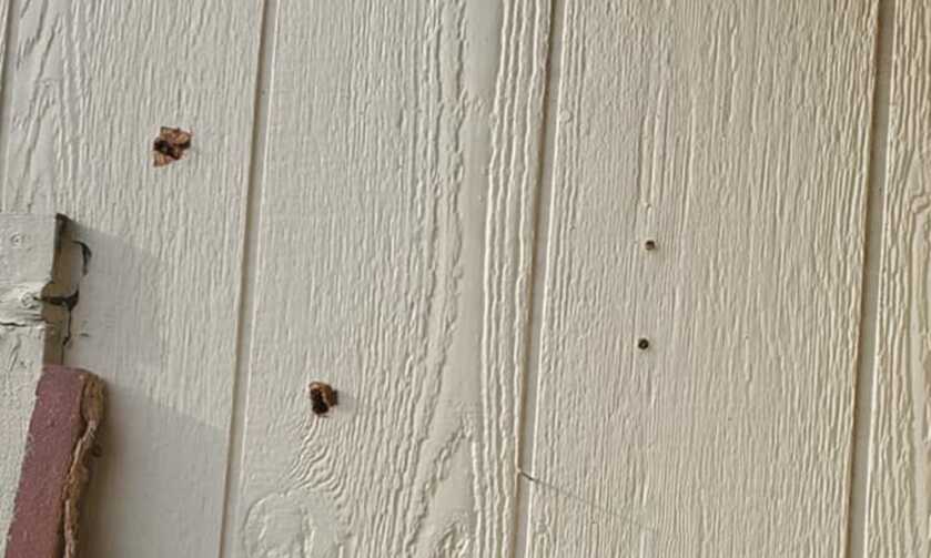 Arkansas Man Uses Hunting Rifle to Put Down Potential Mass Murderer Arkansas Man Uses Hunting Rifle to Put Down Potential Mass Murderer