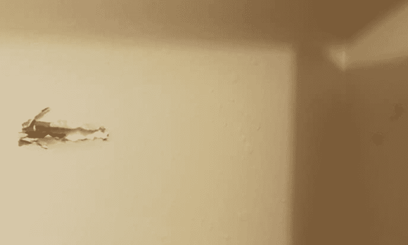 Arkansas Man Uses Hunting Rifle to Put Down Potential Mass Murderer Arkansas Man Uses Hunting Rifle to Put Down Potential Mass Murderer