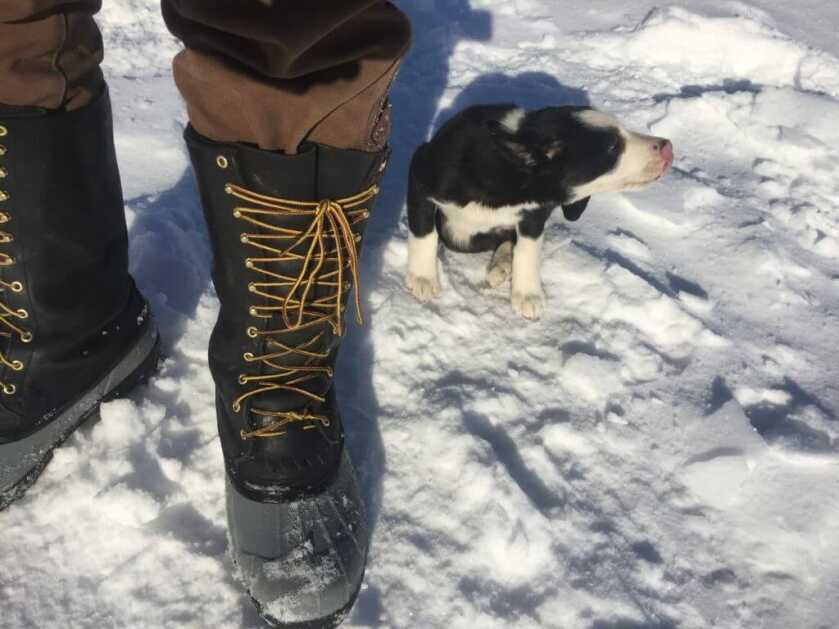 Pre-season Boot Break-in and Everything Else You Ever Might Want to Know About Boots!