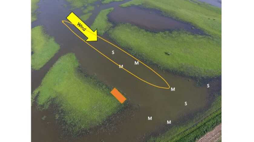 Decoy Spreads with Water Motion