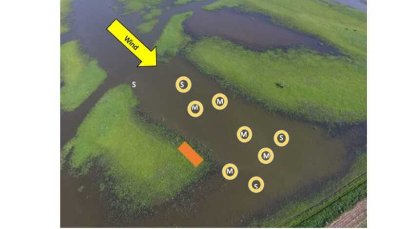 Decoy Spreads with Water Motion