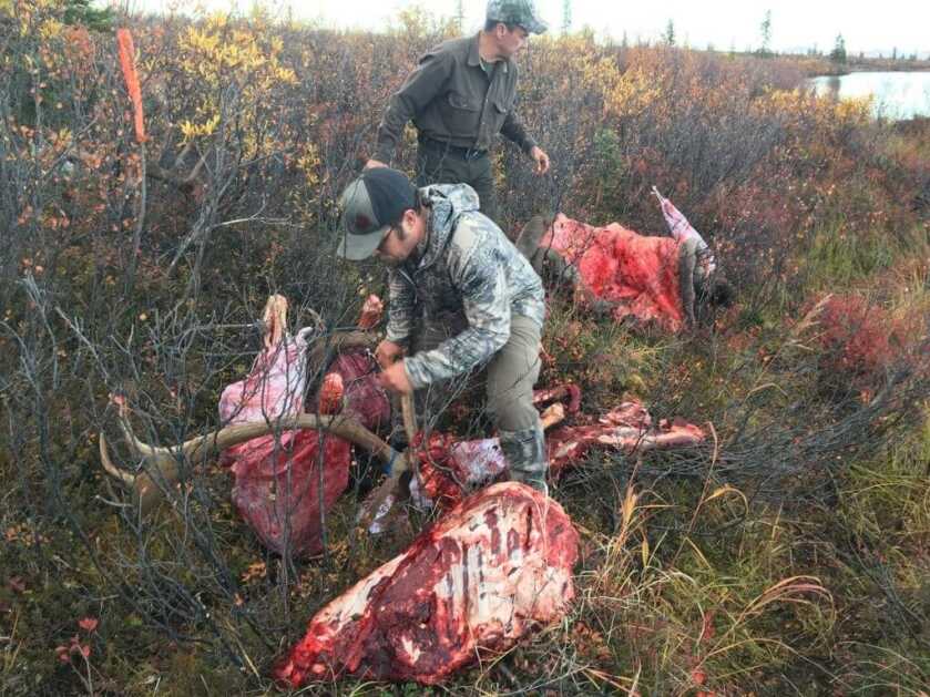 Mountain Hunting Emergency Preparedness Mountain Hunting Emergency Preparedness