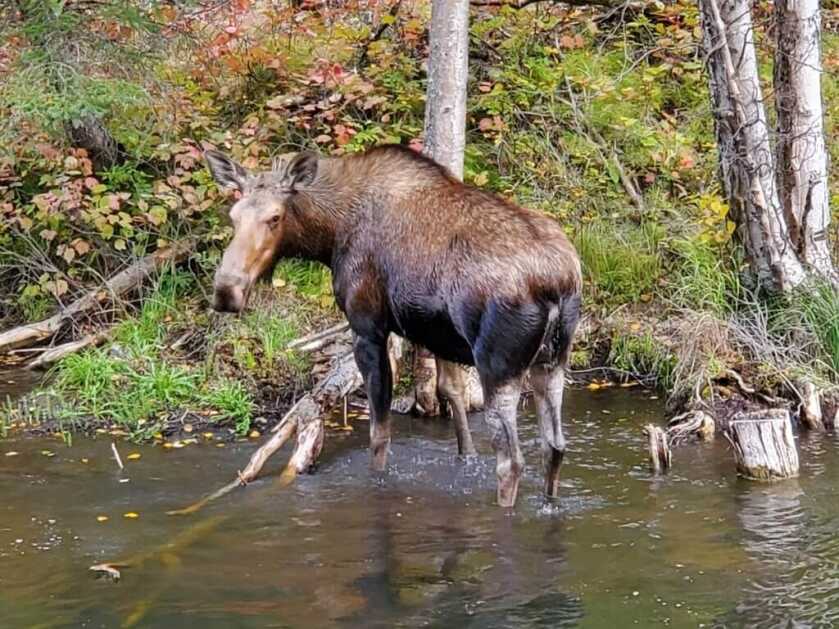 Mountain Hunting Emergency Preparedness Mountain Hunting Emergency Preparedness