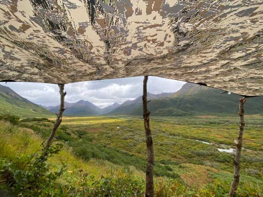 Moose Logistics of Alaska Moose Logistics of Alaska