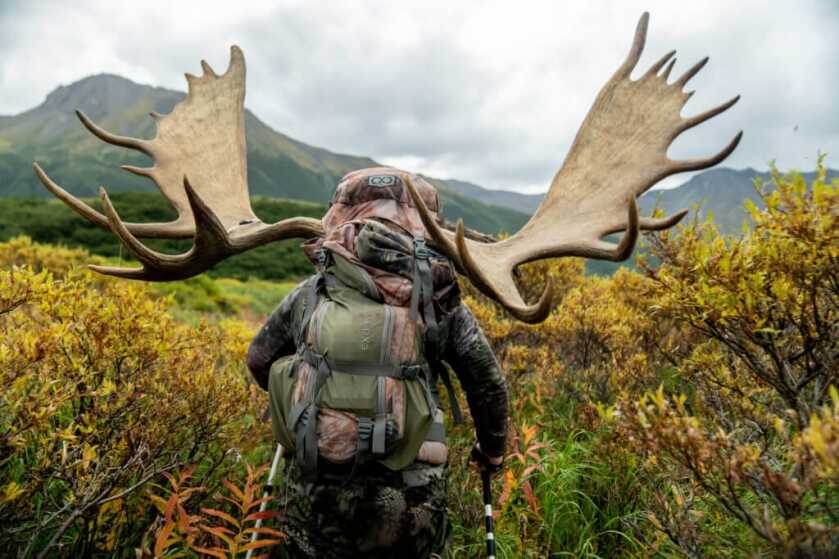 Moose Logistics of Alaska Moose Logistics of Alaska