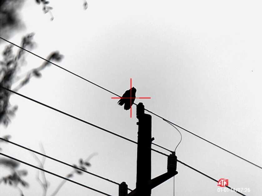 ATN ThOR 4 640- Godlike or Gimmick? Long Term Review ATN ThOR 4 640- Godlike or Gimmick? Long Term Review