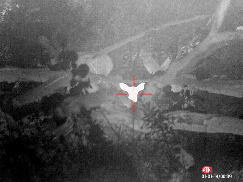 ATN ThOR 4 640- Godlike or Gimmick? Long Term Review ATN ThOR 4 640- Godlike or Gimmick? Long Term Review