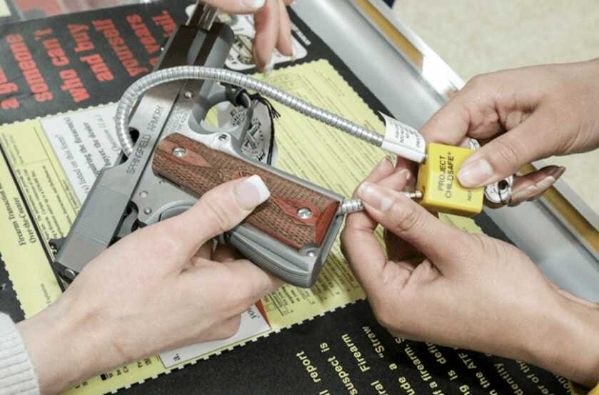 Michigan Senator Wants To Punish Citizens for Unsecured Guns