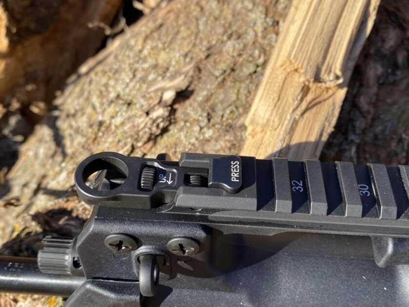 Springfield Armory Hellion - Rifle of the Year?