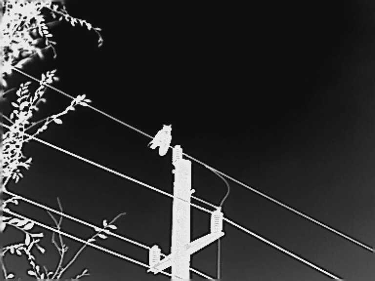 Affordable Handheld Thermal - InfiRay CBL19 Full Review Affordable Handheld Thermal - InfiRay CBL19 Full Review