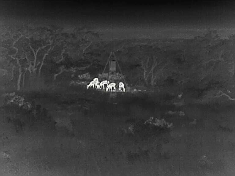 Affordable Handheld Thermal - InfiRay CBL19 Full Review Affordable Handheld Thermal - InfiRay CBL19 Full Review