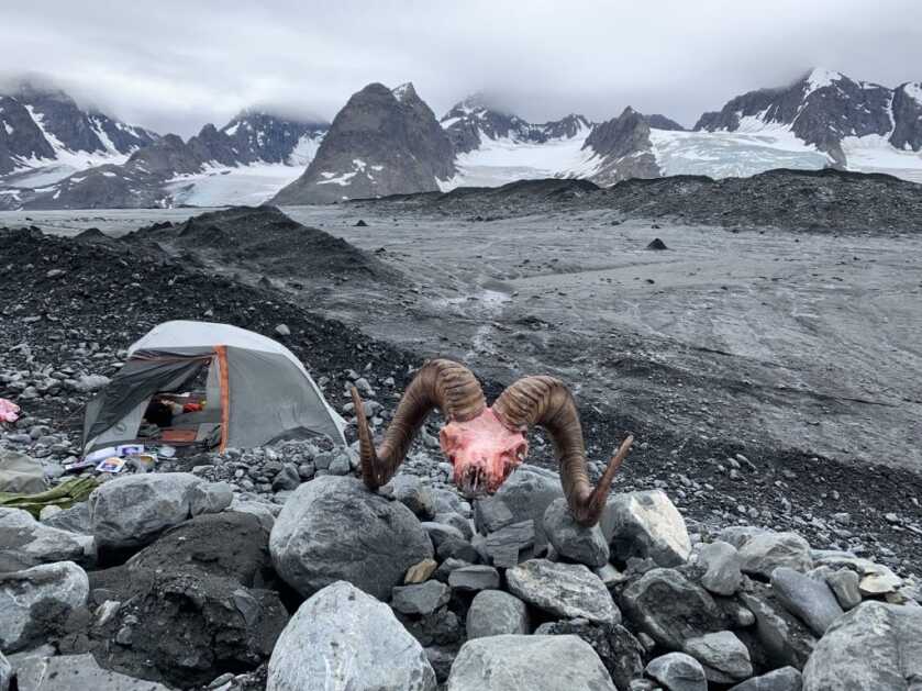 Sheep Hunting Prep Ideas Pt. 2 Sheep Hunting Prep Ideas Pt. 2