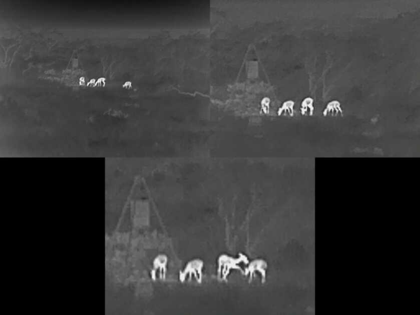 Affordable Handheld Thermal - InfiRay CBL19 Full Review Affordable Handheld Thermal - InfiRay CBL19 Full Review