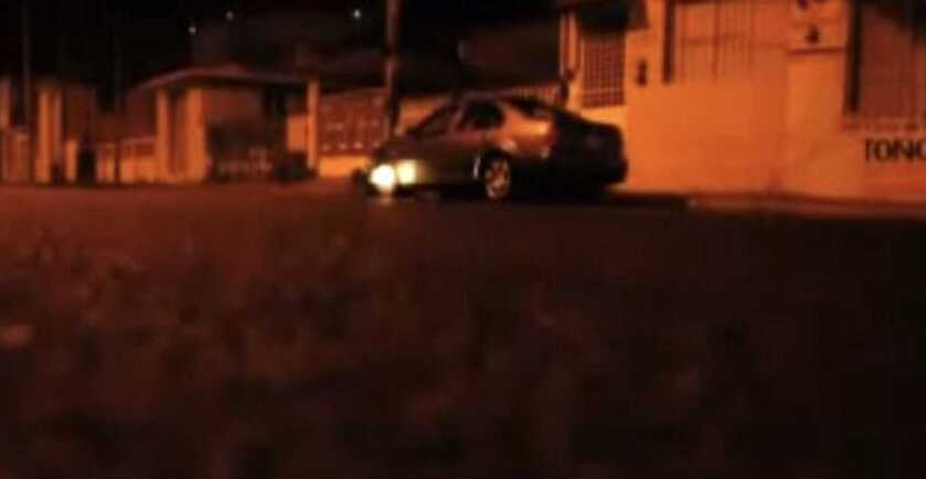 Maria Susan Flores Gamez: Beauty and the Beasts