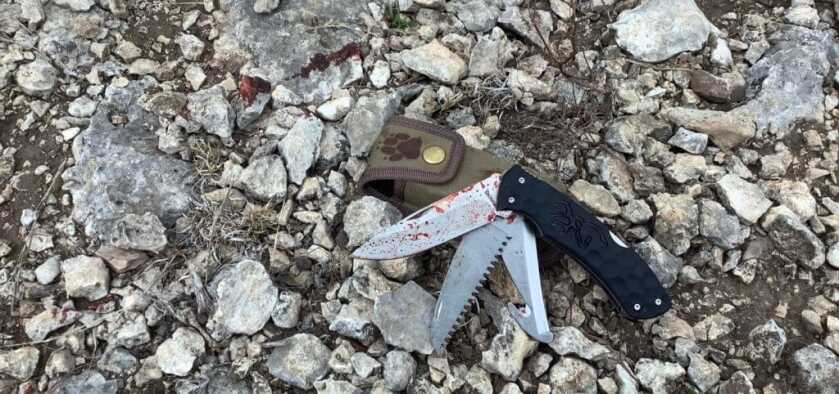 Review: Hornady Handgun Hunter Ammunition Review: Hornady Handgun Hunter Ammunition