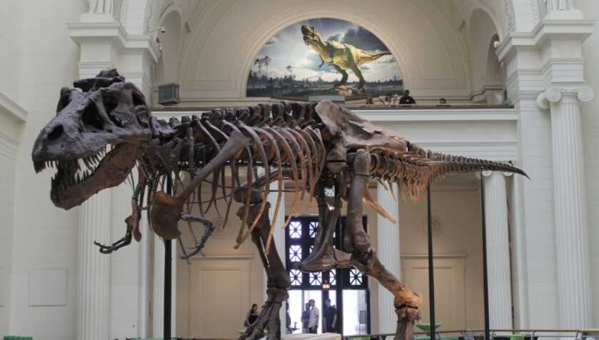 Roy Chapman Andrews: The Real-Life Raider of the Lost Ark Roy Chapman Andrews: The Real-Life Raider of the Lost Ark