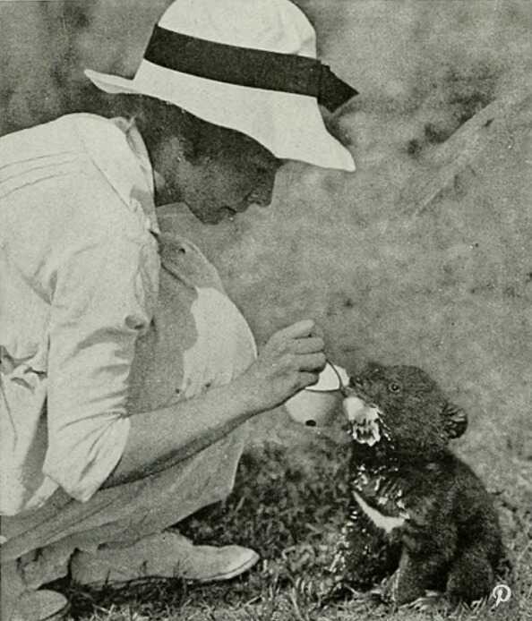 Roy Chapman Andrews: The Real-Life Raider of the Lost Ark Roy Chapman Andrews: The Real-Life Raider of the Lost Ark