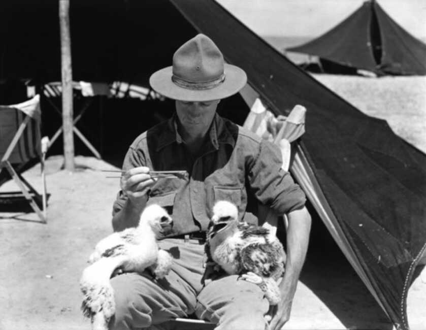 Roy Chapman Andrews: The Real-Life Raider of the Lost Ark Roy Chapman Andrews: The Real-Life Raider of the Lost Ark