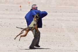 Sig Freedom Days – Media Day for the Masses! Sig Freedom Days – Media Day for the Masses!