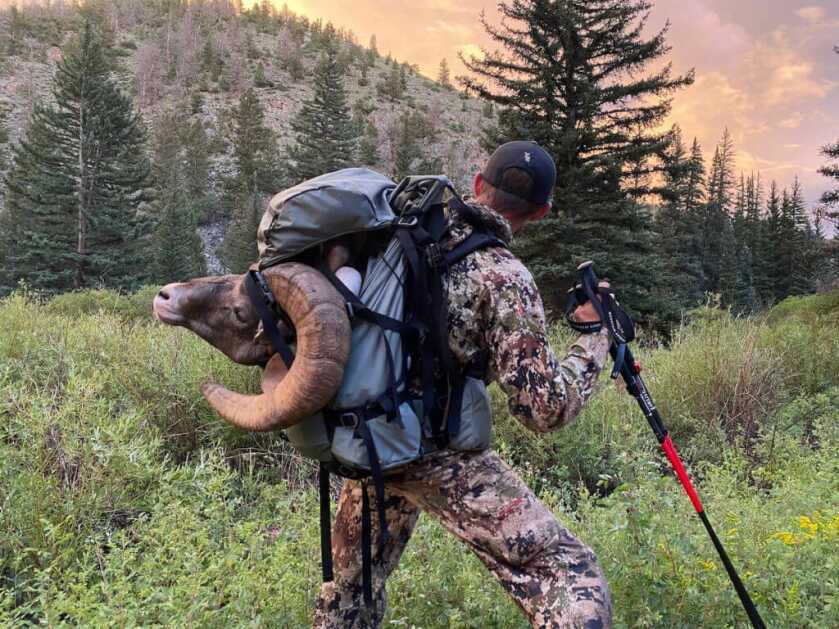 Once In A Lifetime Once In A Lifetime