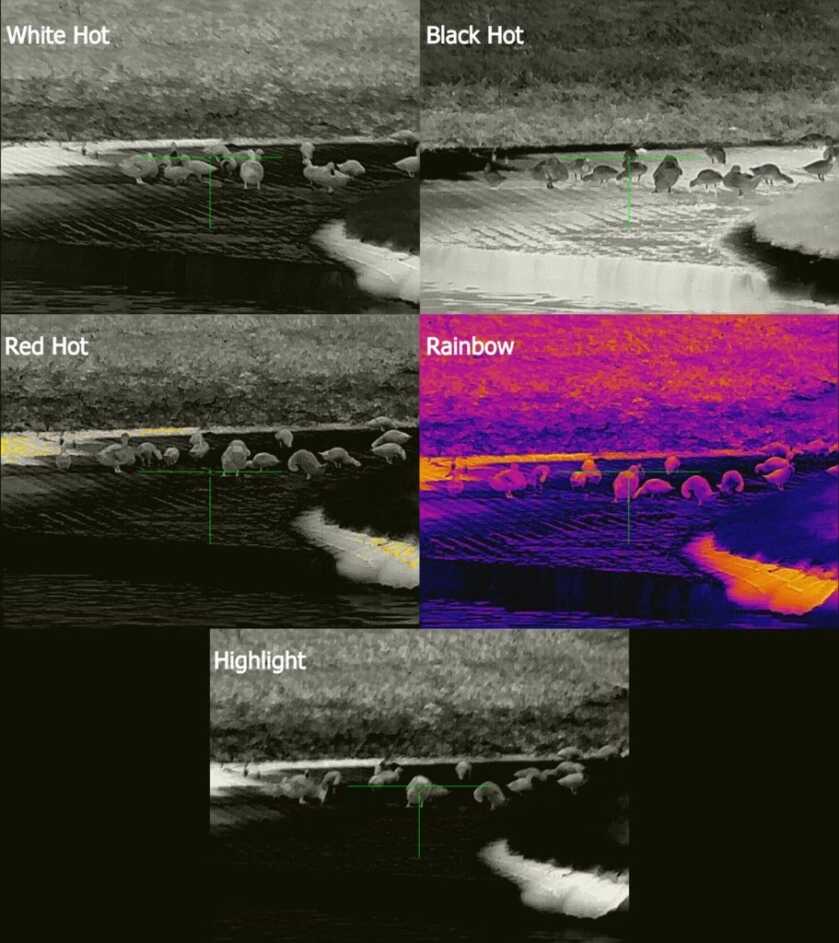 InfiRay Outdoor Mk1 384 RL42 Thermal - Full Review