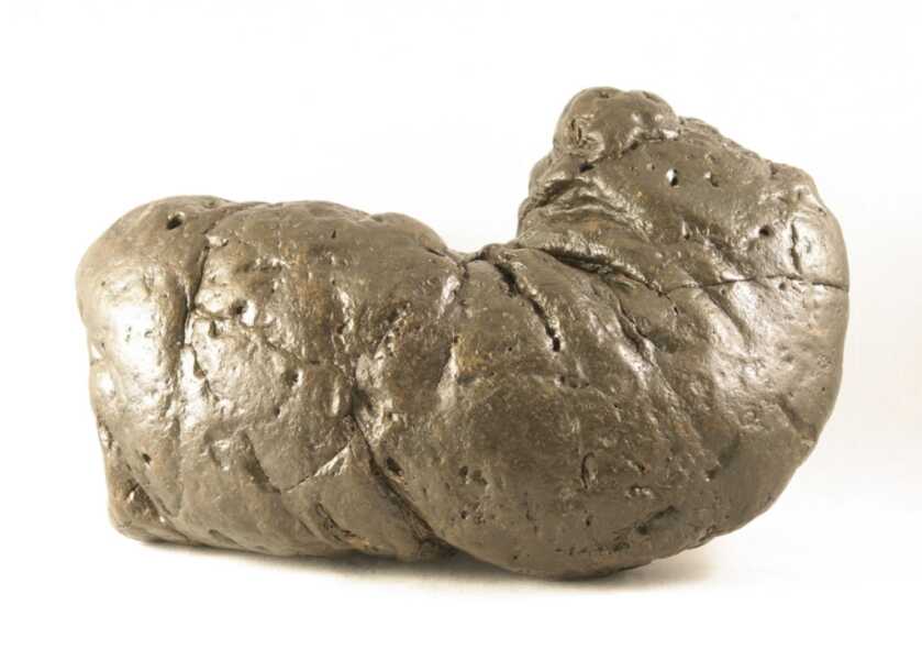 Scott Beierle: The Misogynistic Terrorist