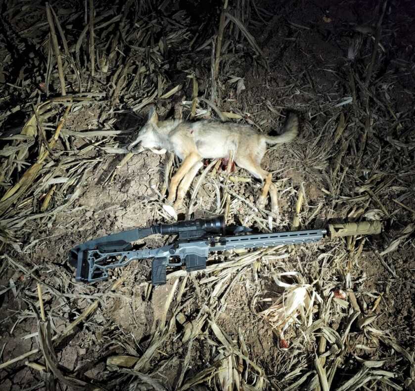 InfiRay Outdoor RICO HD RS75 1280 is the Best Thermal Scope Ever Introduced on the Commercial Market - Review InfiRay Outdoor RICO HD RS75 1280 is the Best Thermal Scope Ever Introduced on the Commercial Market - Review