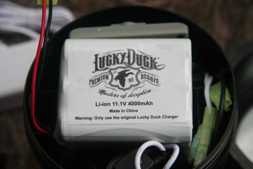 Put a Swimmer In Your Spread Put a Swimmer In Your Spread