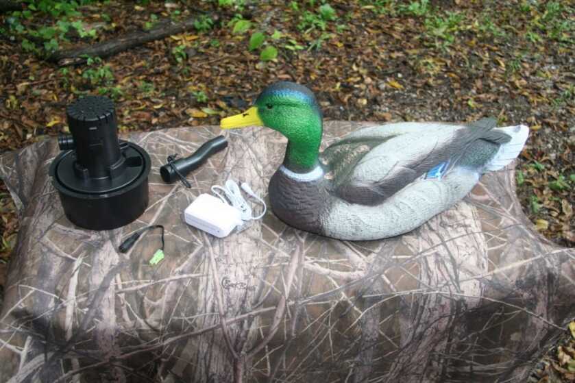 Put a Swimmer In Your Spread Put a Swimmer In Your Spread