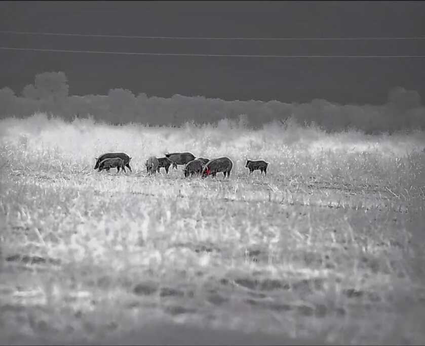 InfiRay Outdoor RICO HD RS75 1280 is the Best Thermal Scope Ever Introduced on the Commercial Market - Review InfiRay Outdoor RICO HD RS75 1280 is the Best Thermal Scope Ever Introduced on the Commercial Market - Review