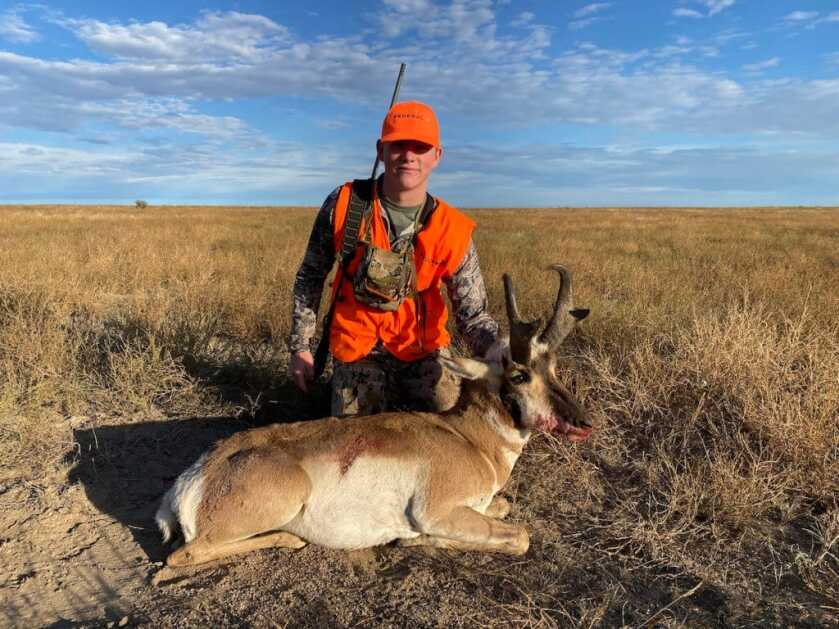 Too Much Gun? Too Much Gun?