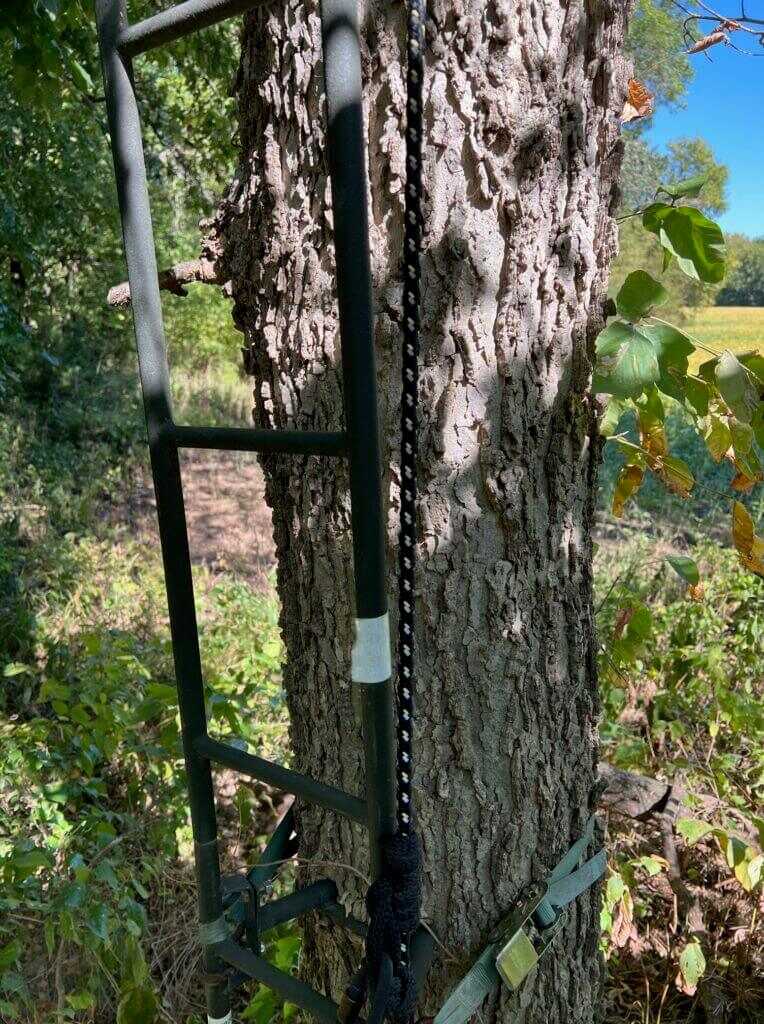 Find Your Spot - Whitetail Tips