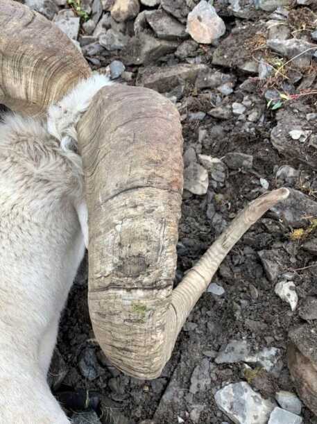 Stone Glacier M5 Raingear Review Stone Glacier M5 Raingear Review