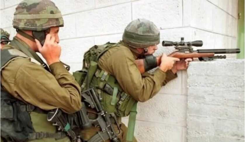 Dr. Dabbs - The .22 Rimfire's Lethality at Work & at Play Dr. Dabbs - The .22 Rimfire's Lethality at Work & at Play