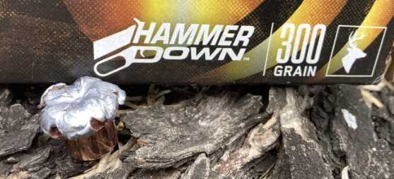 Review - Federal HammerDown ammunition Review - Federal HammerDown ammunition