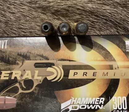 Review - Federal HammerDown ammunition Review - Federal HammerDown ammunition