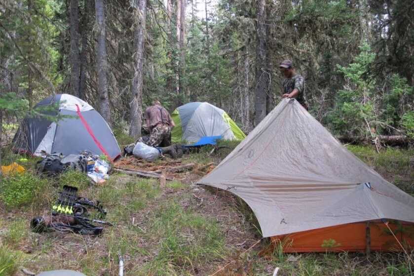 Why The Puffy? Why The Puffy?