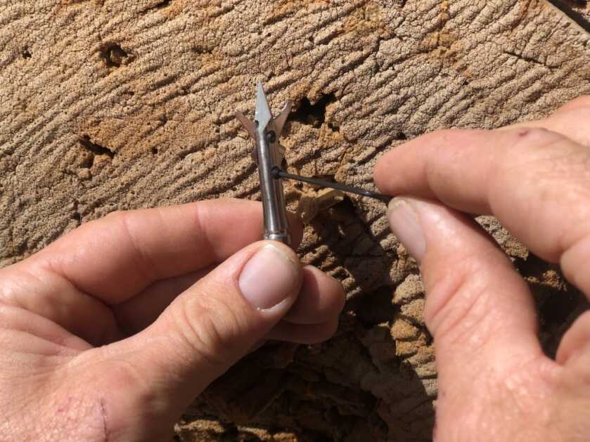 Go Expandable For Turkeys Go Expandable For Turkeys