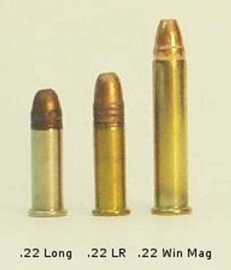 Dr. Dabbs - Bella Twin: The Tiny Little Woman and the Really Big Bear Dr. Dabbs - Bella Twin: The Tiny Little Woman and the Really Big Bear