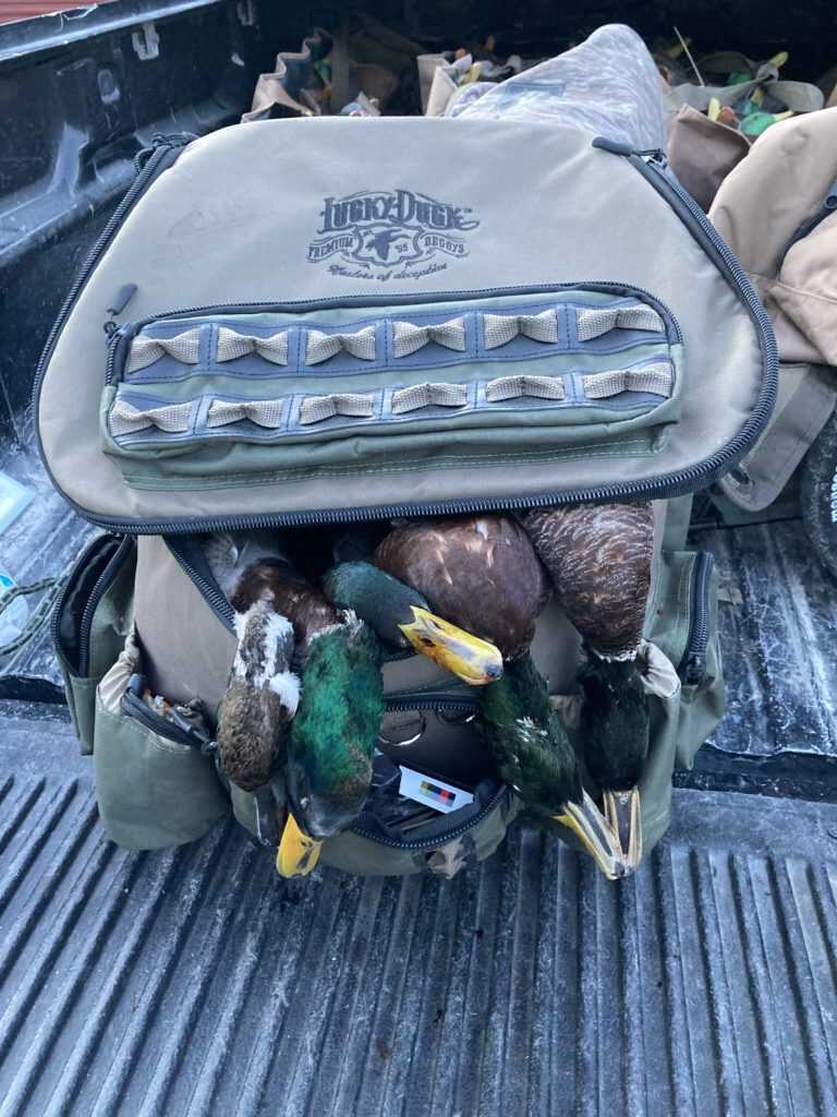 2 - Hunt365 - Carry or Haul 2 - Hunt365 - Carry or Haul