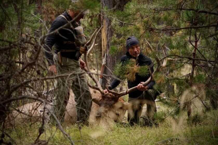 Never Miss Again Part V: Get Your Mind Right Success with an elk