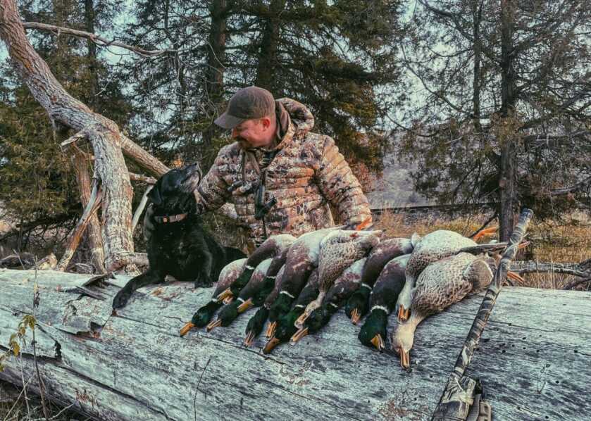 3-December-Kryptek Flyway Deadzone Review Hunter dressed in Kryptek gear with his dog and mallard ducks