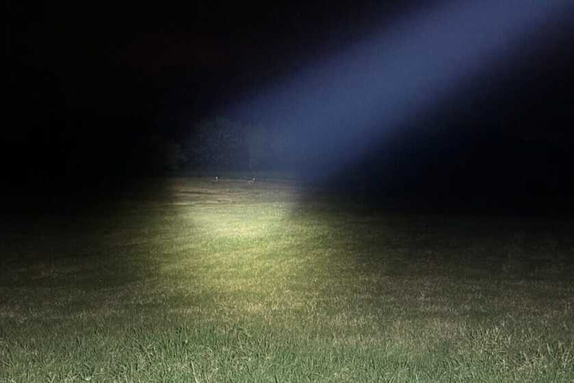 3 - Nitecore MH25Pro 3,300 Lumen Flashlight Review Turbo mode illuminating deer at around 300 yards