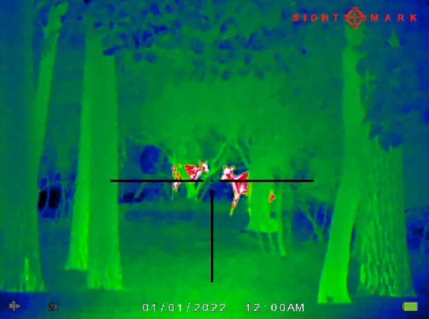 3 - Heating Seeking Optic: Sight Mark Wraith Mini Thermal The Sight Mark Wraith Mini Thermal set on the multi color palette picks up two small does
