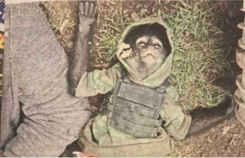 3-Will- Chalino Sánchez: Dead Man Singing 3-Will- Chalino Sánchez: Dead Man Singing