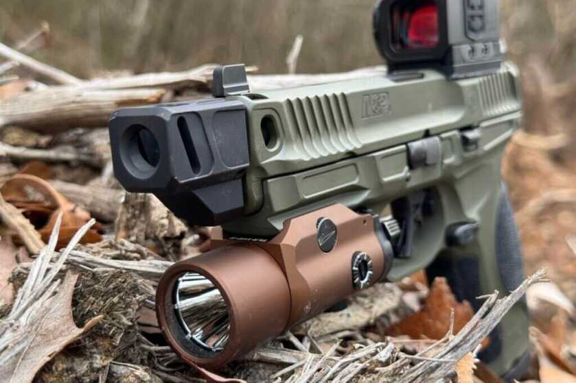 Smith and Wesson handgun closeup in sticks and leaves