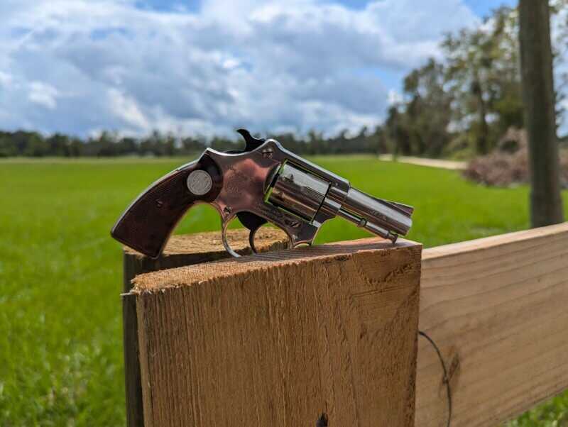 Rossi princess against nature